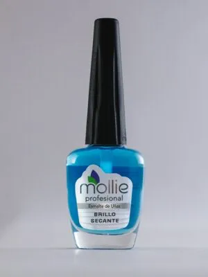 ESMALTE BRILLO SECANTE