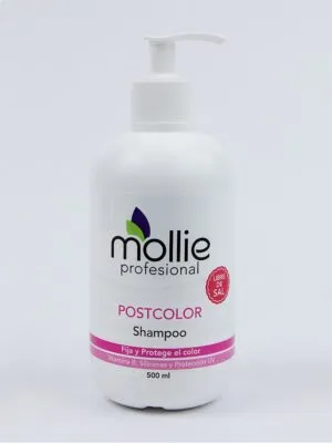 SHAMPOO POSTCOLOR LIBRE DE SAL